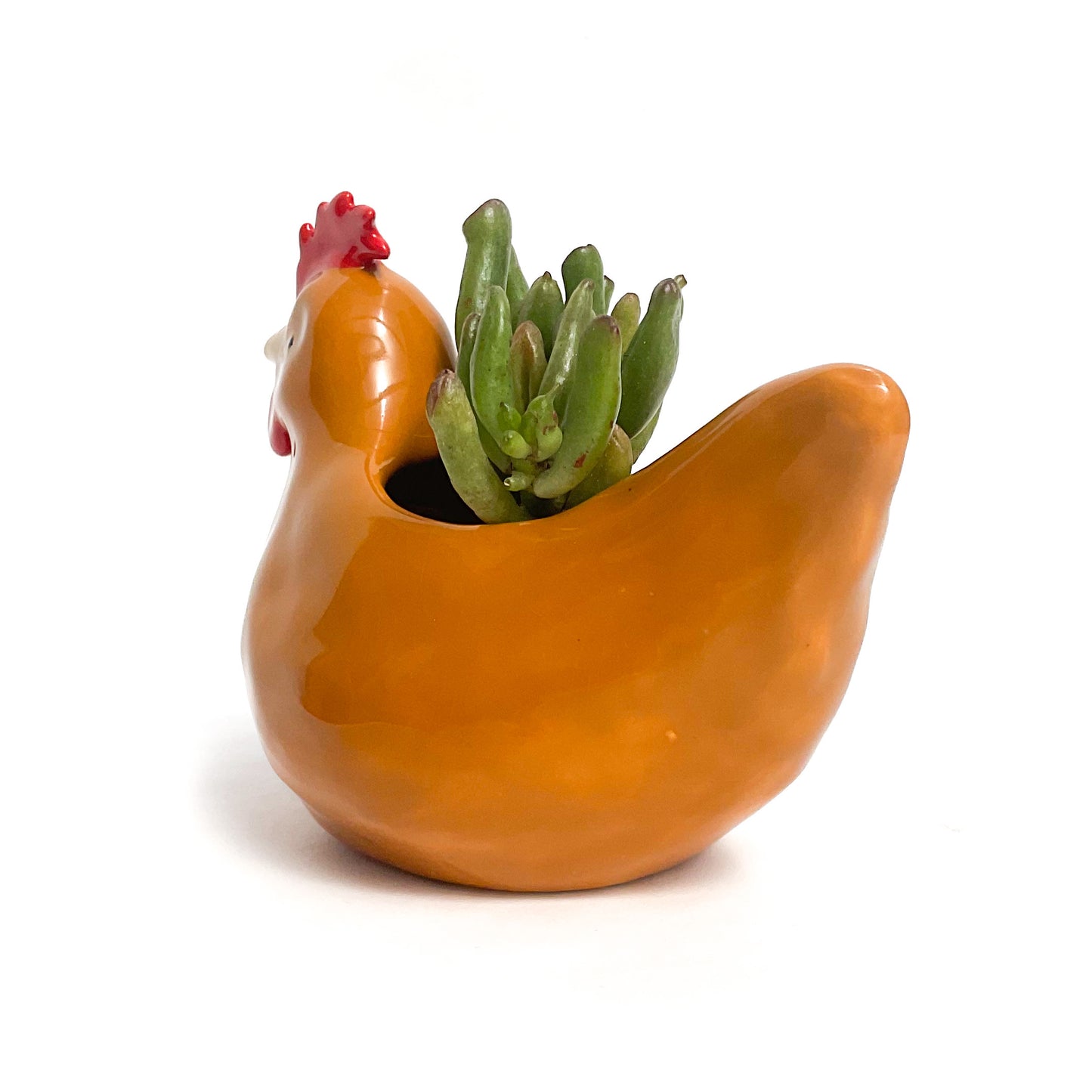 Hen Pot - Ceramic Hen Planter