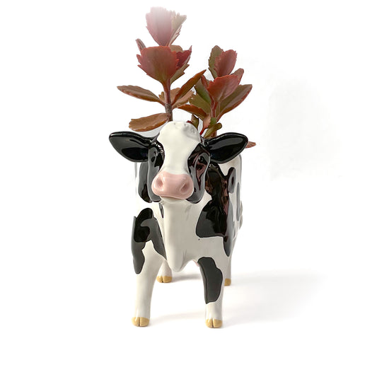 Holstein Friesian Cow Pot