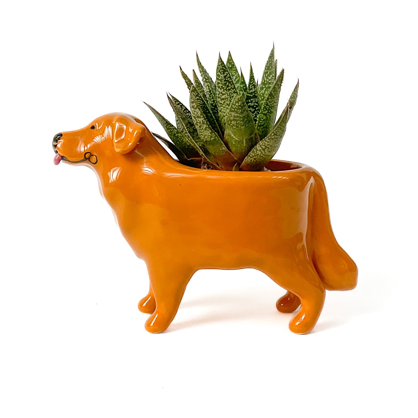 Golden Retriever Dog Planter - Ceramic Dog Plant Pot