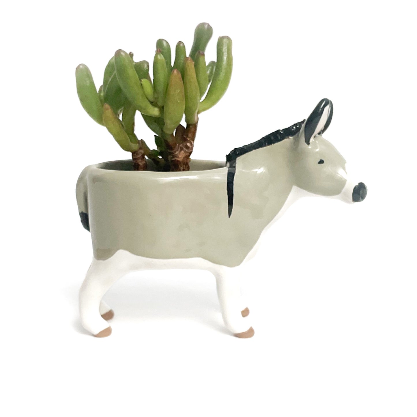 Miniature Mediterranean Donkey Planter
