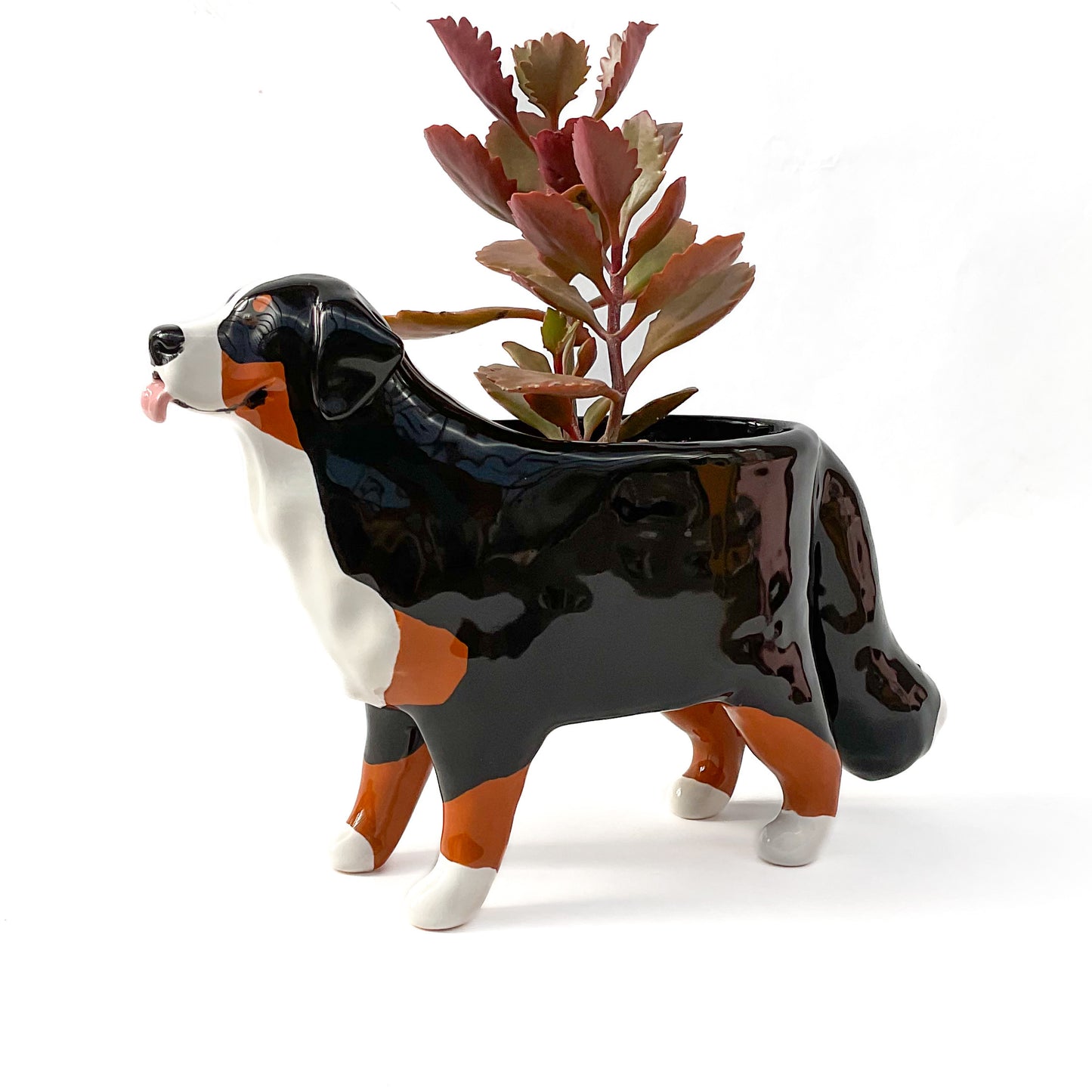 Bernese Mountain Dog Planter - Ceramic Dog Plant Pot