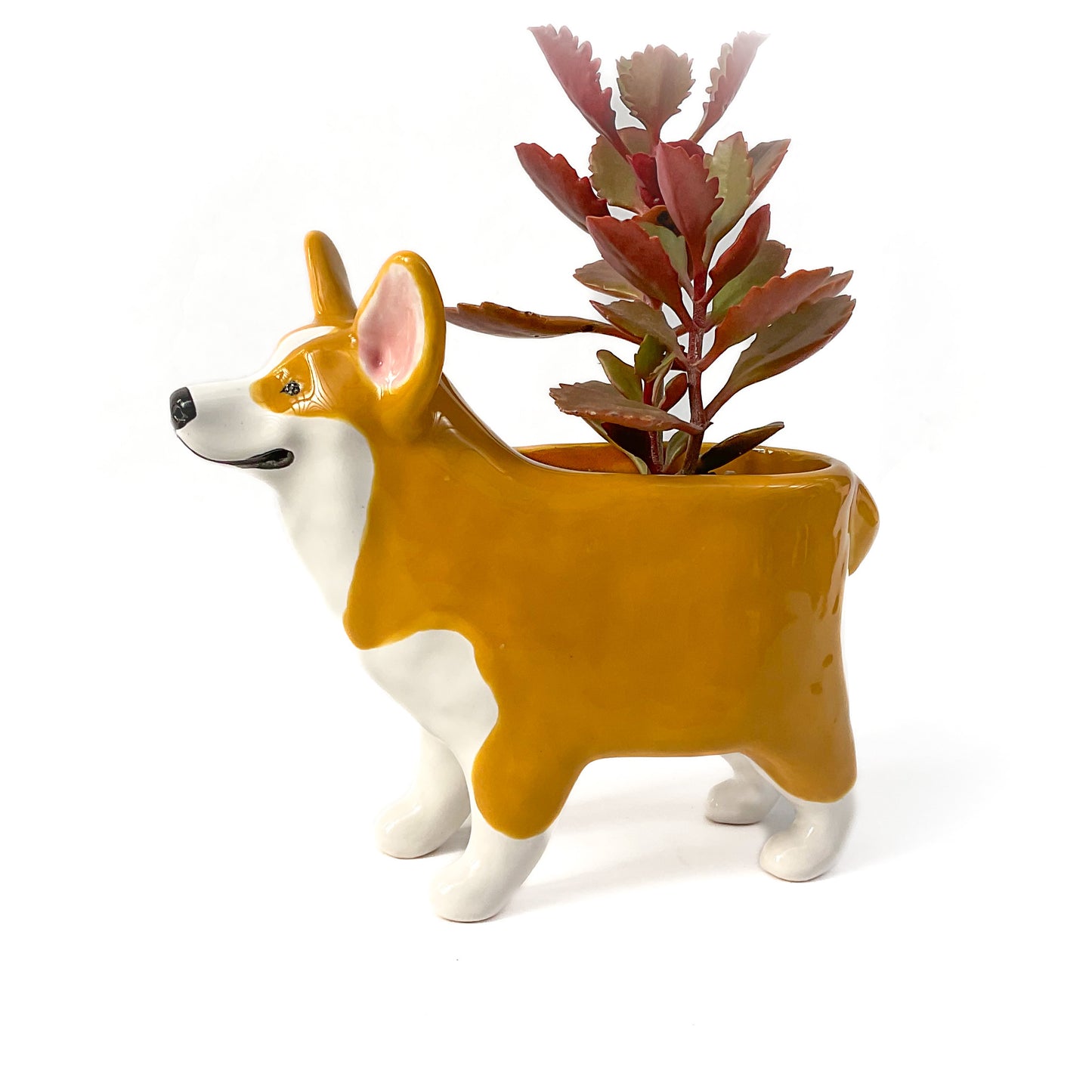 Corgi Dog Planter - Ceramic Dog Plant Pot