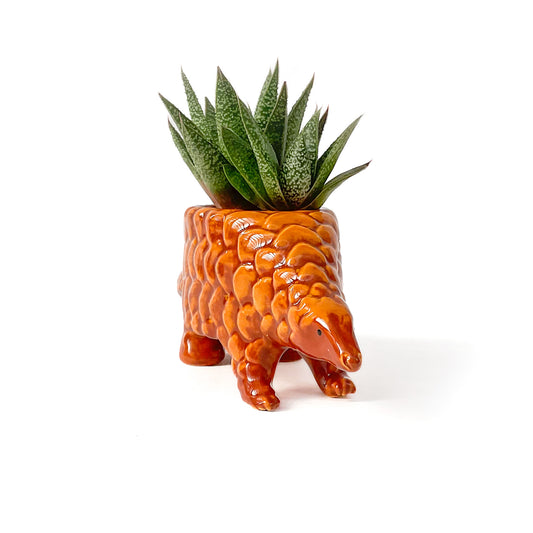 Pangolin Pot - Ceramic Pangolin Planter