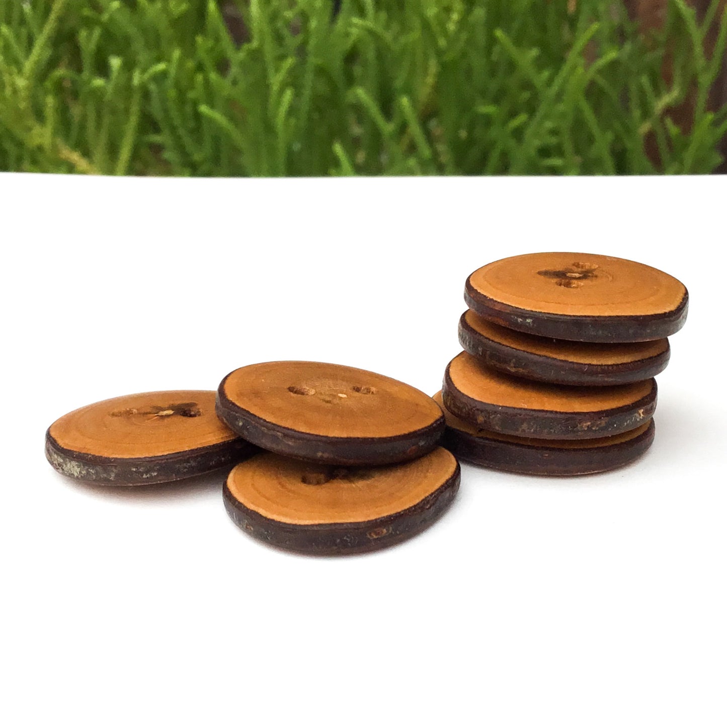 Live Edge Cherry Wood Buttons  7/8”  7-pack