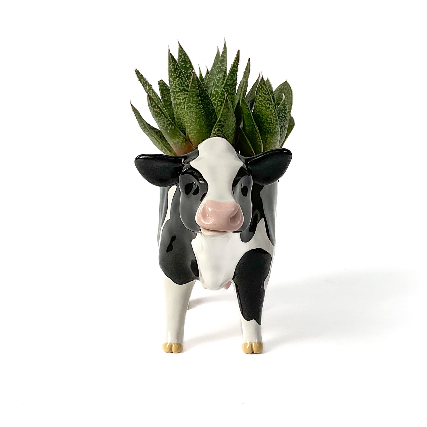 Holstein Friesian Cow Pot