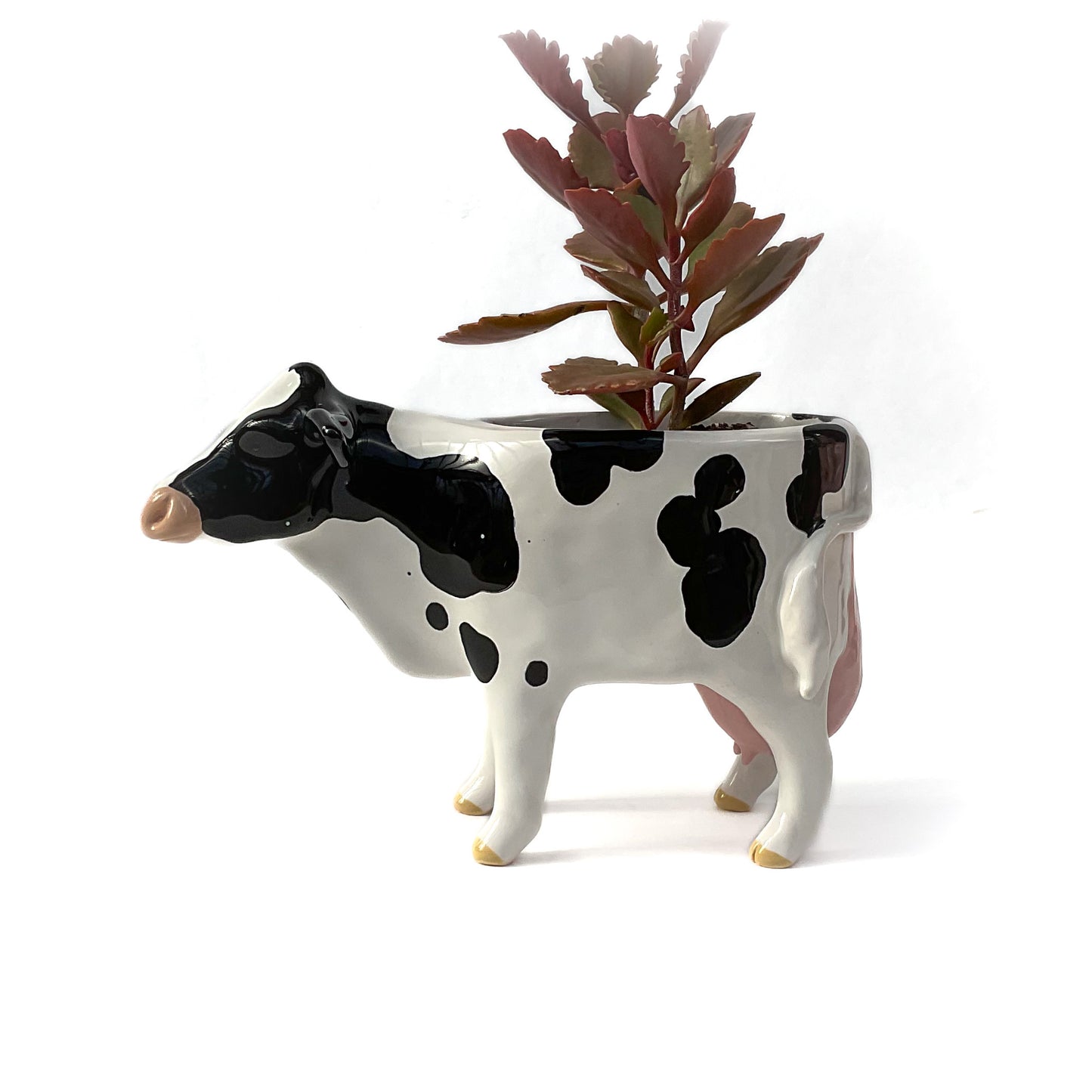 Holstein Friesian Cow Pot