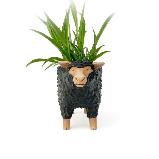 Stoneware Sheep Pot - Ceramic Sheep Planter