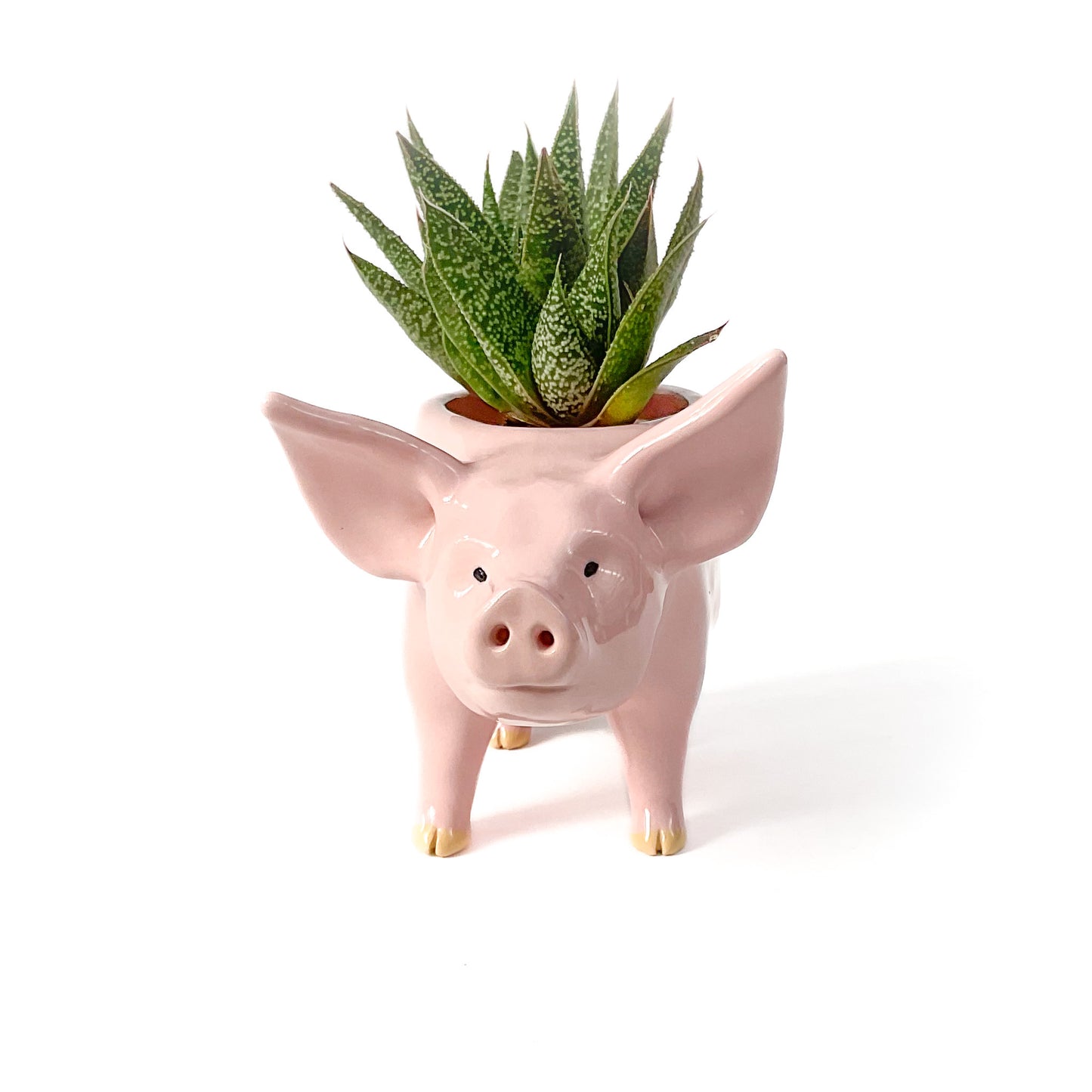 Pink Yorkshire Pig Pot