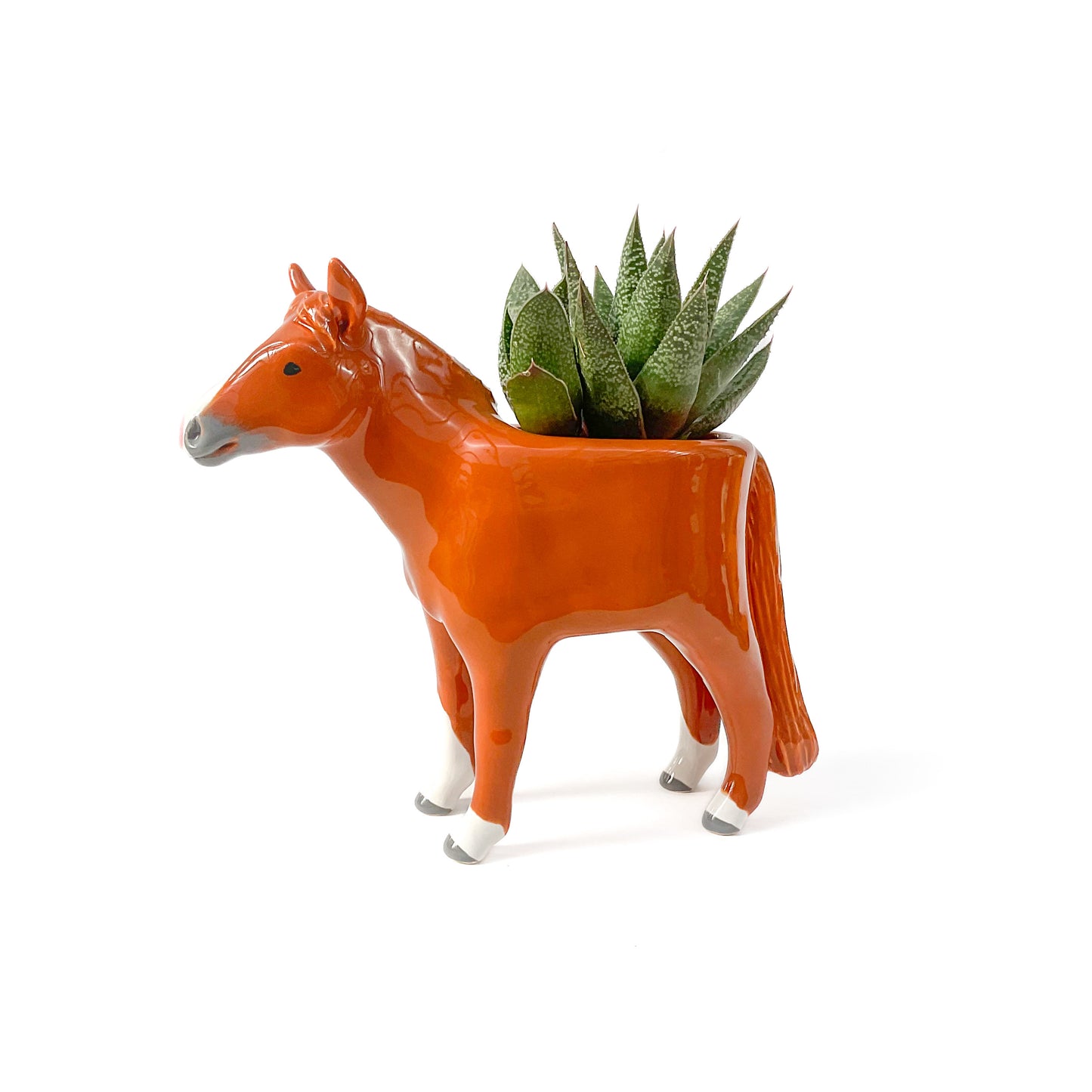 Chestnut Quarter Horse Pot