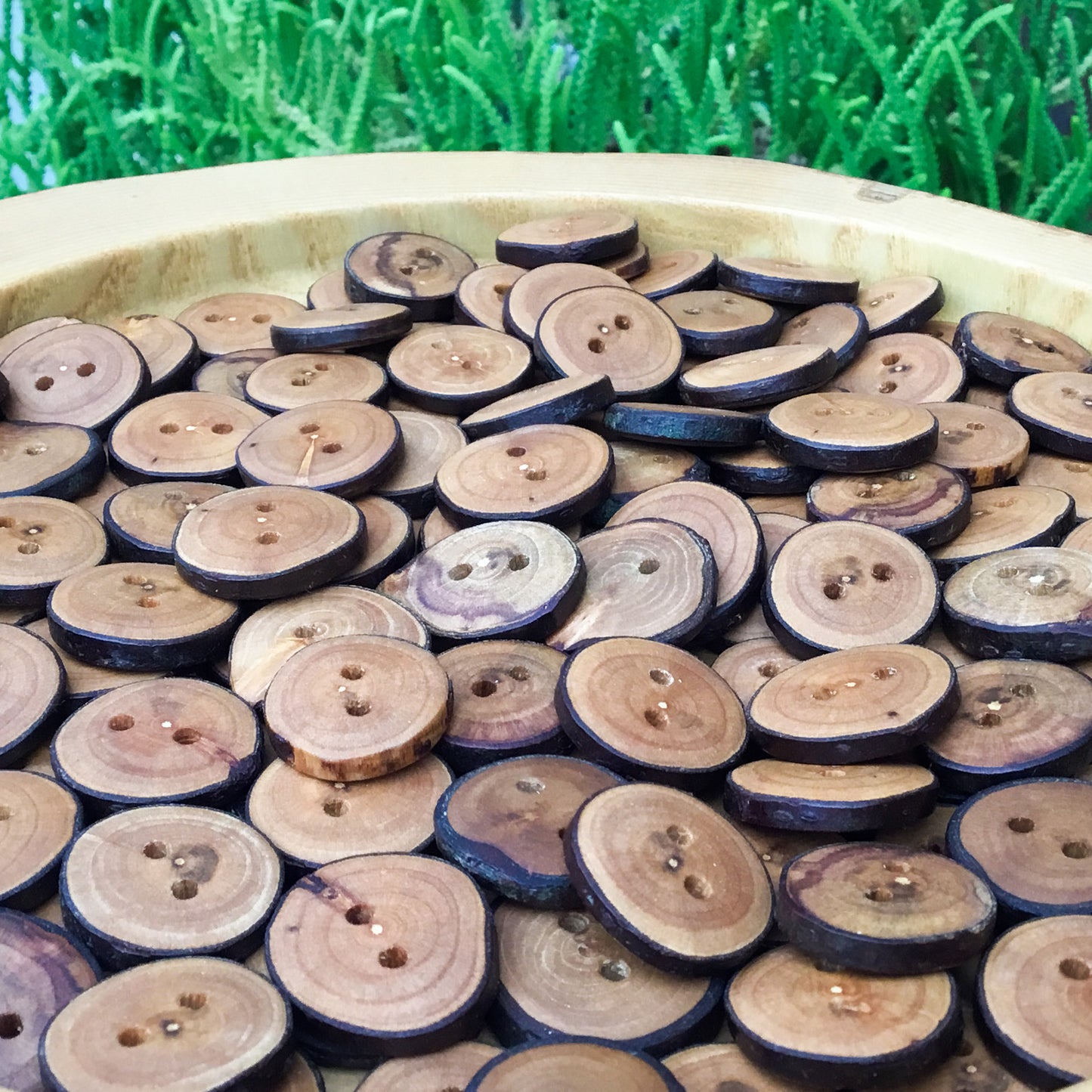 Bulk ‘Rustic’ Live Edge Cherry Wood Buttons - 3/4”