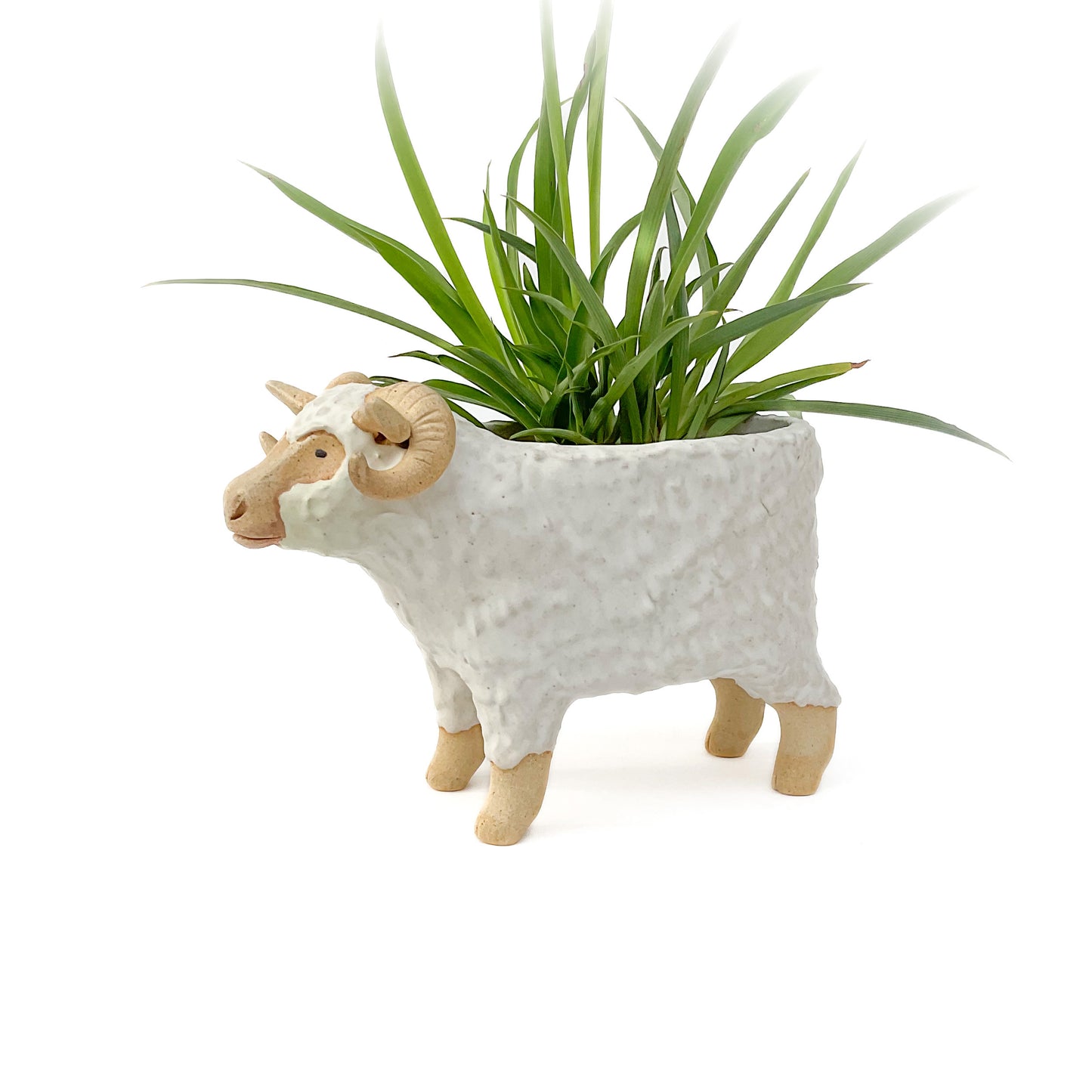 Stoneware Ram Pot - Ceramic Sheep Planter