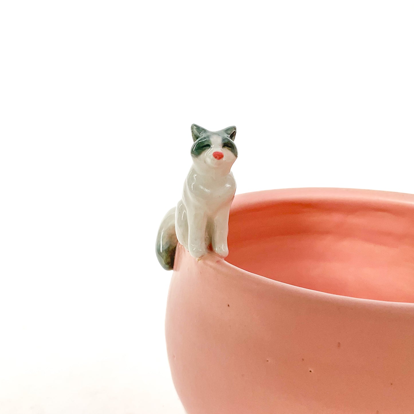 Ragdoll Cat Yarn Bowl