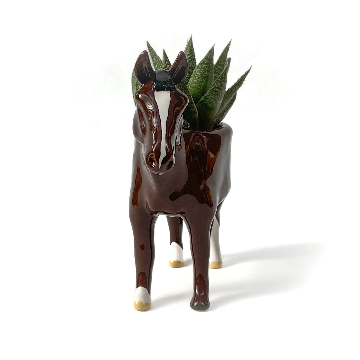 Thoroughbred Horse Pot