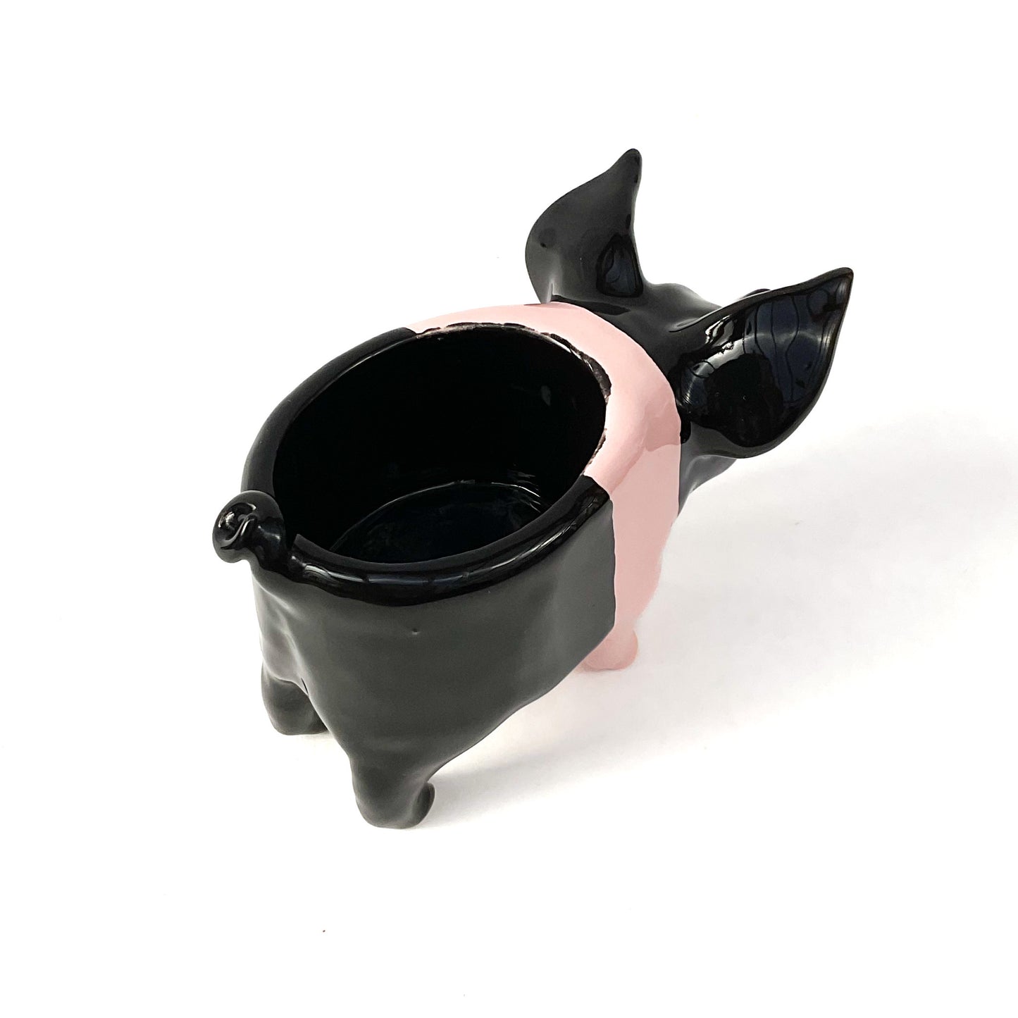 Hampshire Pig Pot - Ceramic Pig Planter