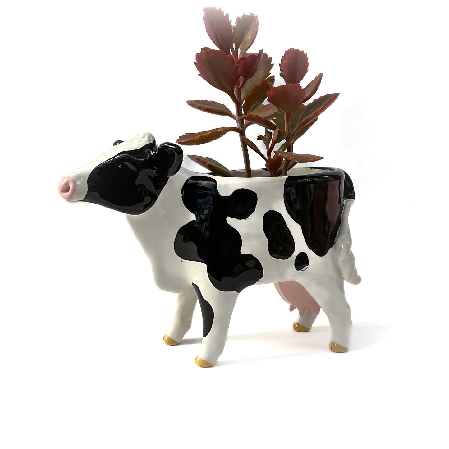 Holstein Friesian Cow Pot