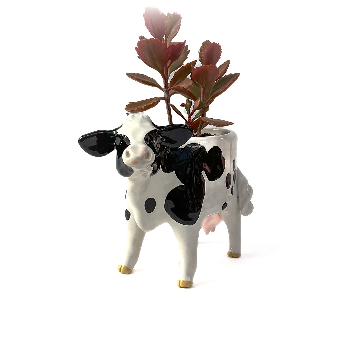 Holstein Friesian Cow Pot