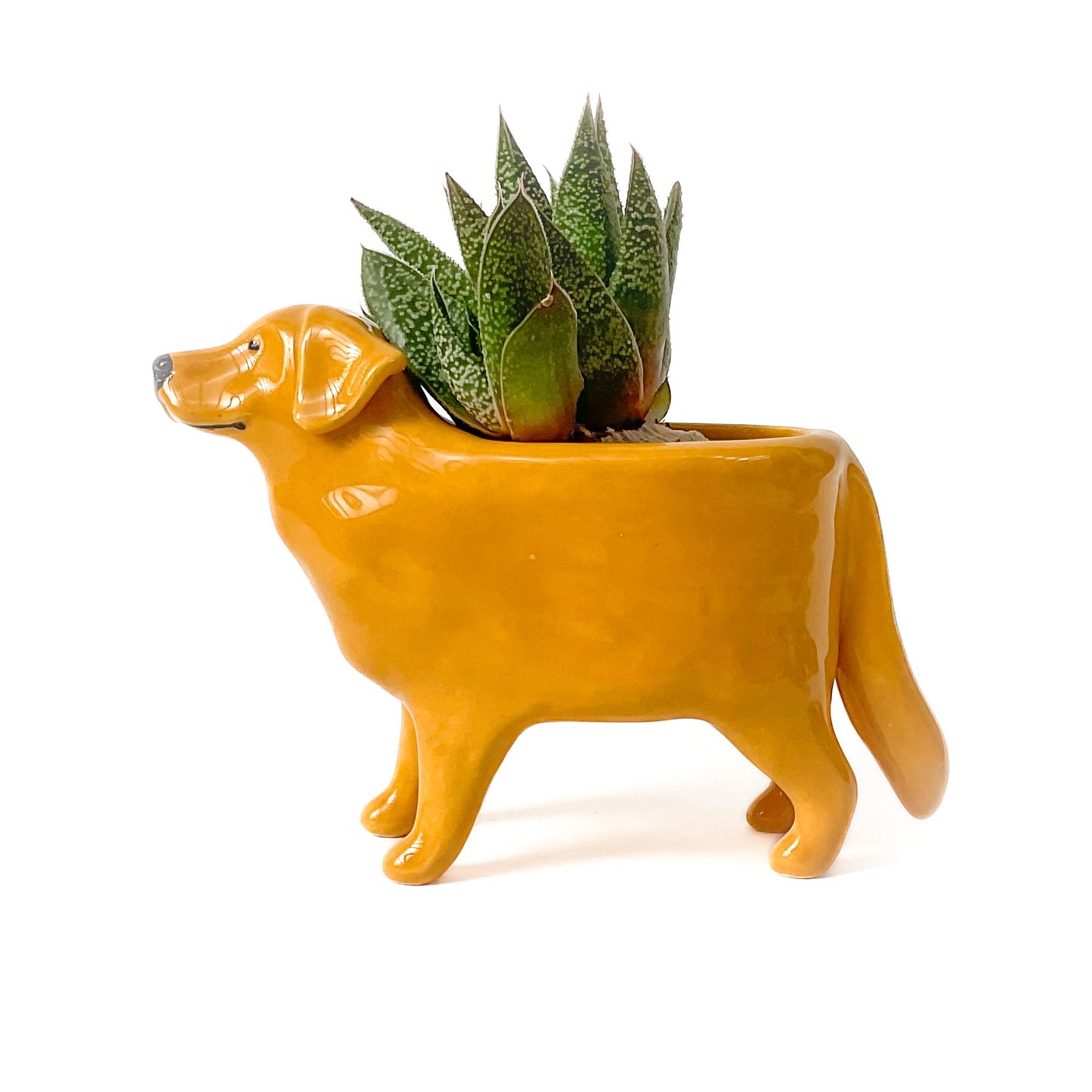 Golden Lab Dog Planter - Ceramic Dog Plant Pot