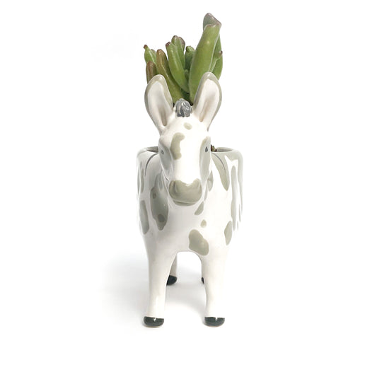 Spotted Miniature Mediterranean Donkey Planter