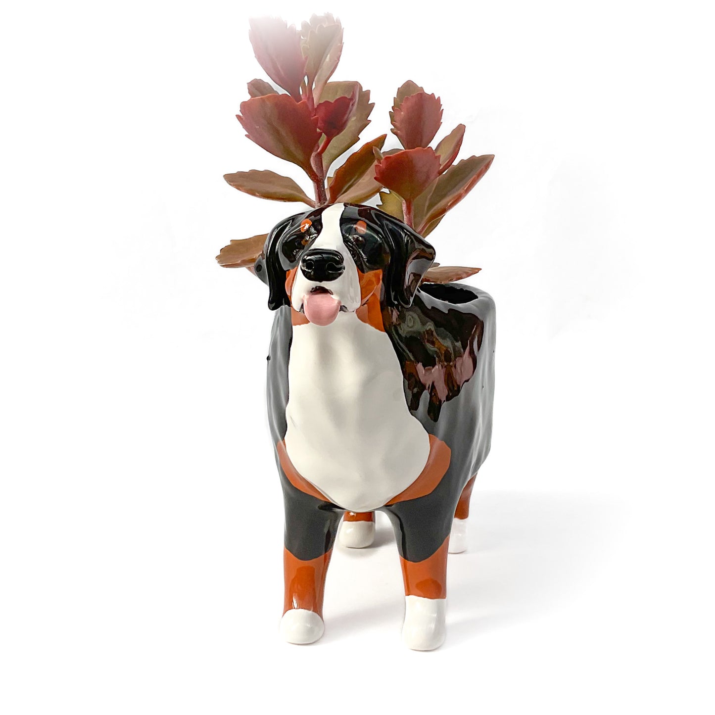 Bernese Mountain Dog Planter - Ceramic Dog Plant Pot