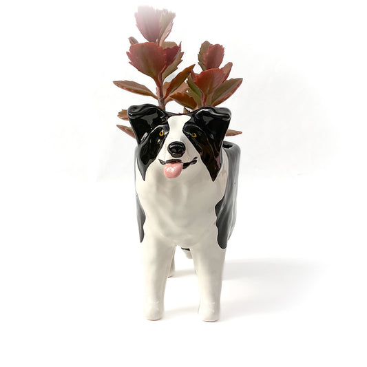 Border Collie Dog Planter - Ceramic Dog Plant Pot