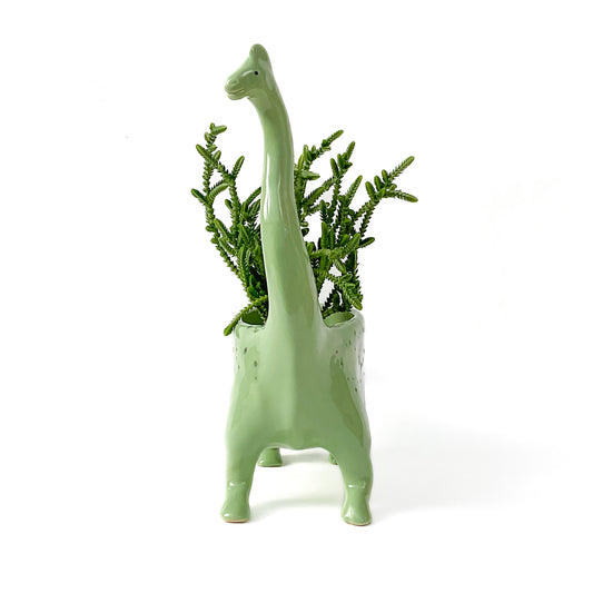 Brachiosaurus Dinosaur Planter - Dinosaur Succulent Planter