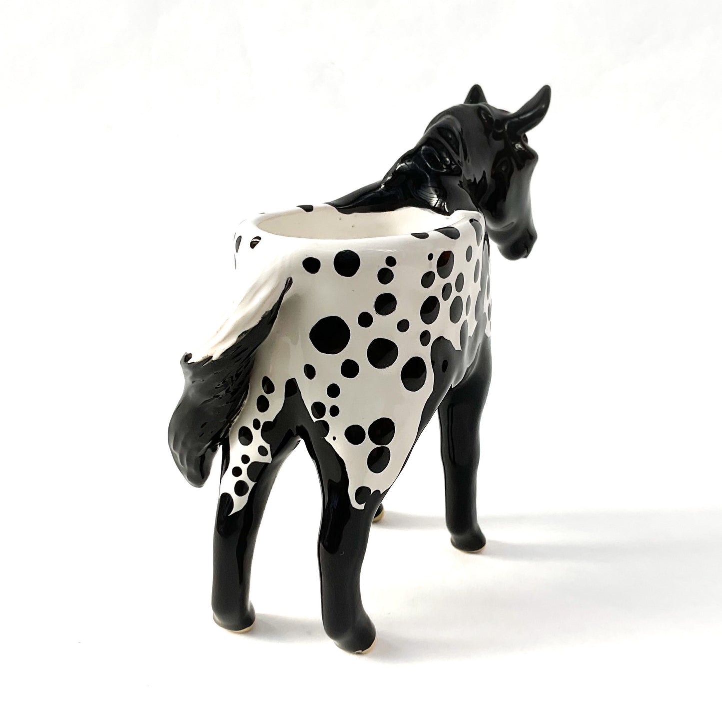 Appaloosa Horse Pot