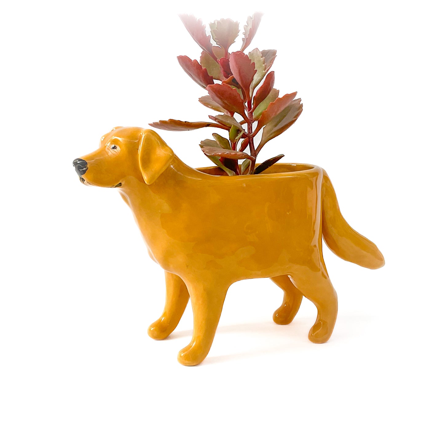 Golden Lab Dog Planter - Ceramic Dog Plant Pot