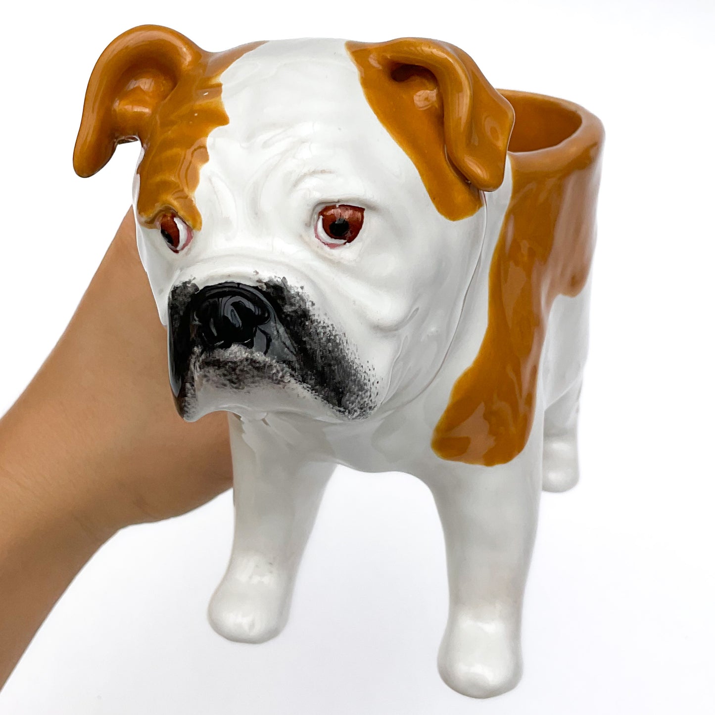 English Bulldog Planter - Ceramic Dog Plant Pot