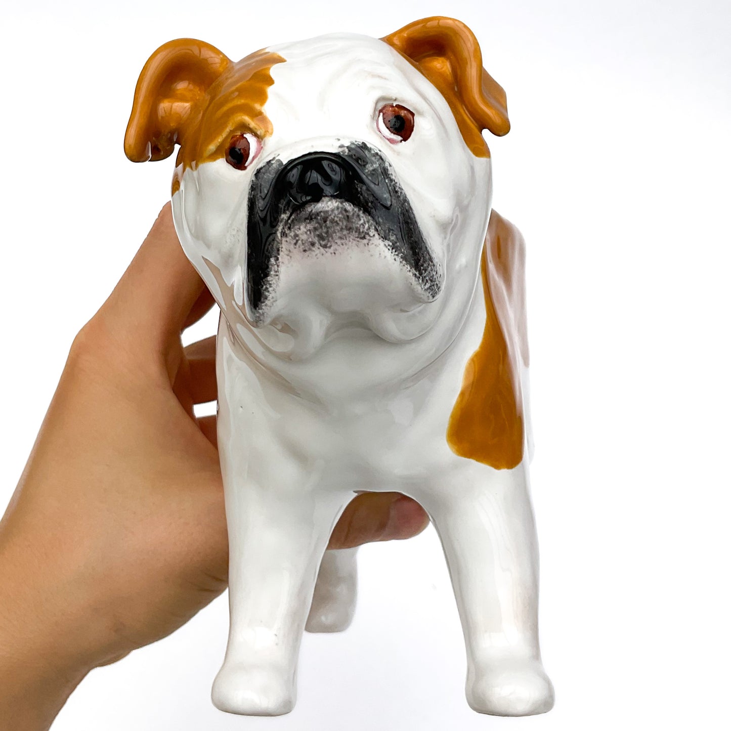 English Bulldog Planter - Ceramic Dog Plant Pot