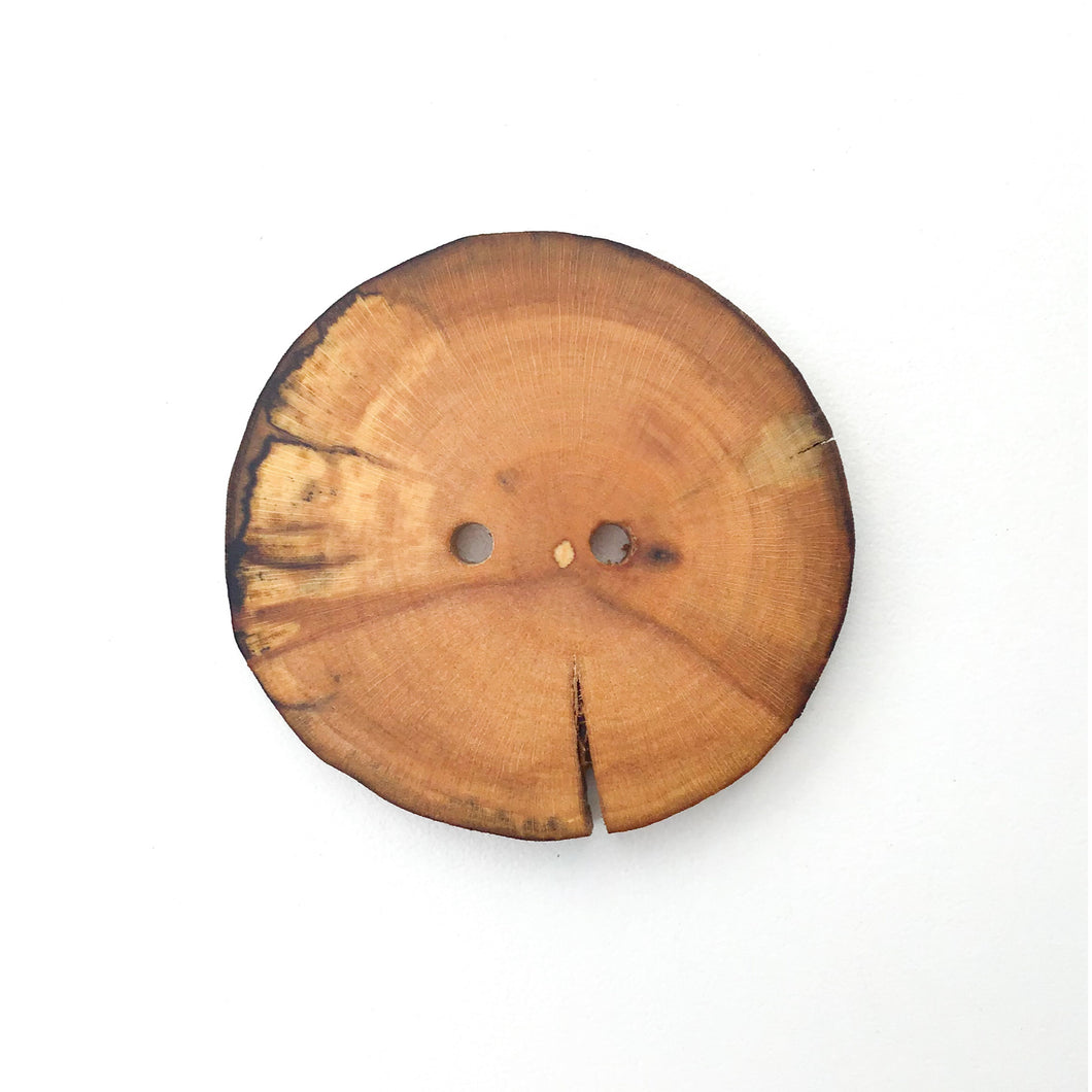 Extra Large Spalted Maple Root Button - 1 7/8