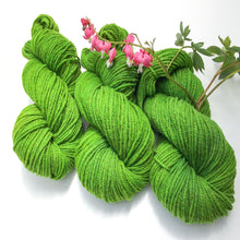 Load image into Gallery viewer, Hand-dyed Moorit Merino Yarn - DK - Light Worsted Weight - Tomato Leaf Green