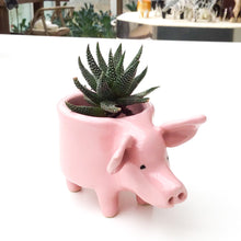Load image into Gallery viewer, Little Pink Pig Pot - Ceramic Pig Planter