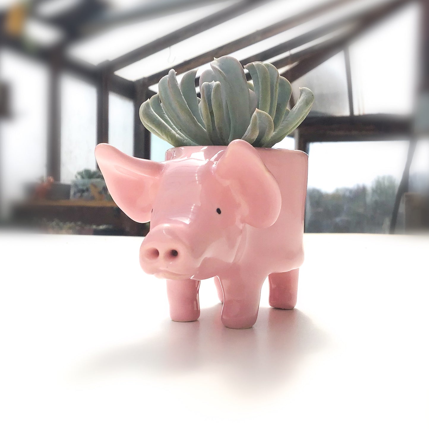 Little Pink Pig Pot - Ceramic Pig Planter