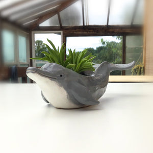 Bottlenose Dolphin Pot - Ceramic Dolphin Planter