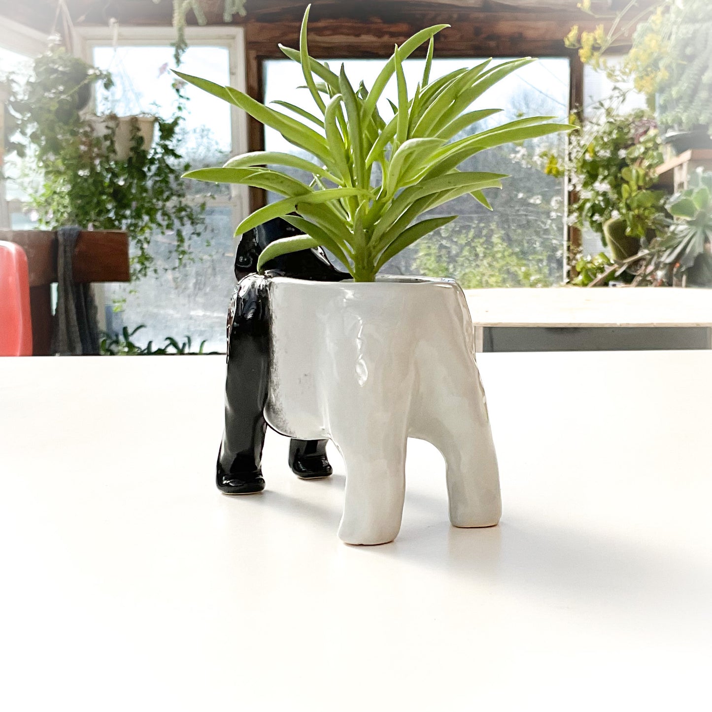 Silverback Gorilla Planter - Gorilla Succulent Pot
