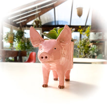 Load image into Gallery viewer, Pink Yorkshire Pig Pot - Ceramic Pig Planter