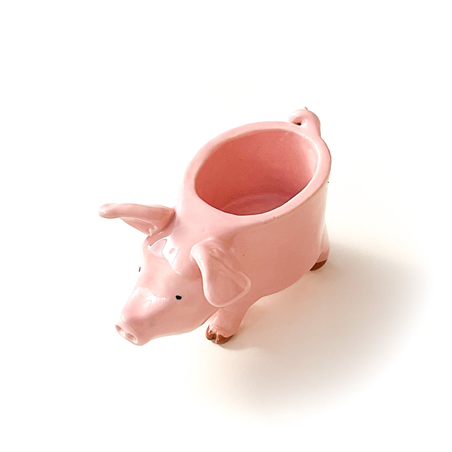Pink Yorkshire Pig Pot - Ceramic Pig Planter