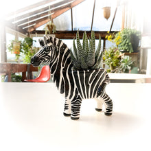 Load image into Gallery viewer, Zebra Pot - Ceramic Zebra Planter