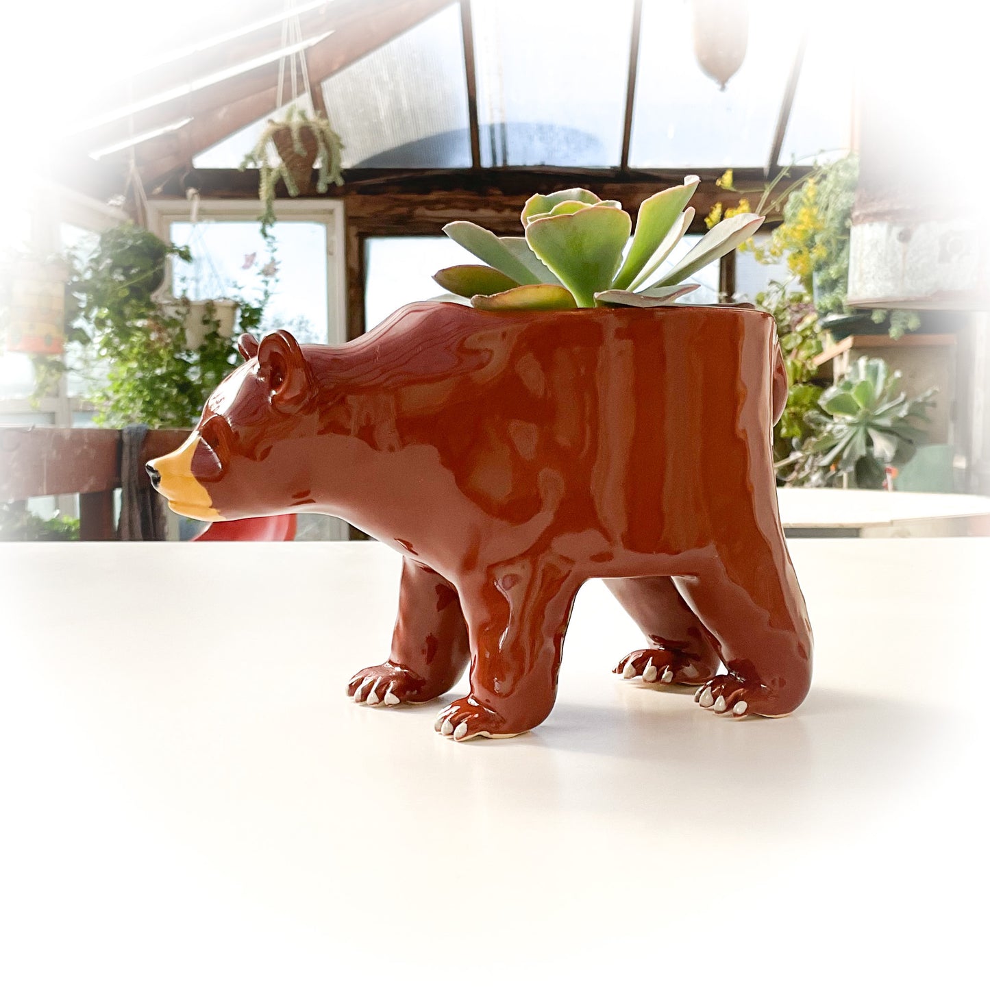 Grizzly Bear Pot - Ceramic Bear Planter