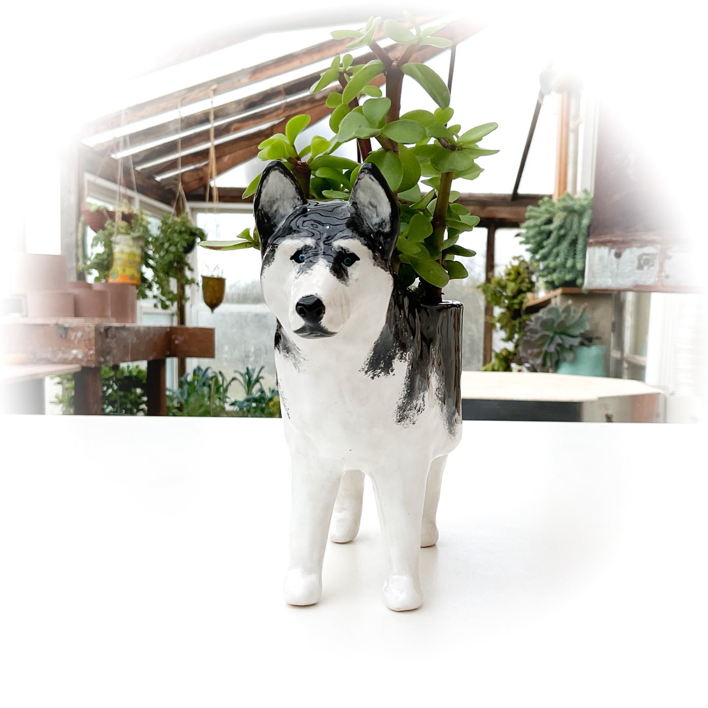 Husky Dog Planter - Ceramic Dog Plant Pot