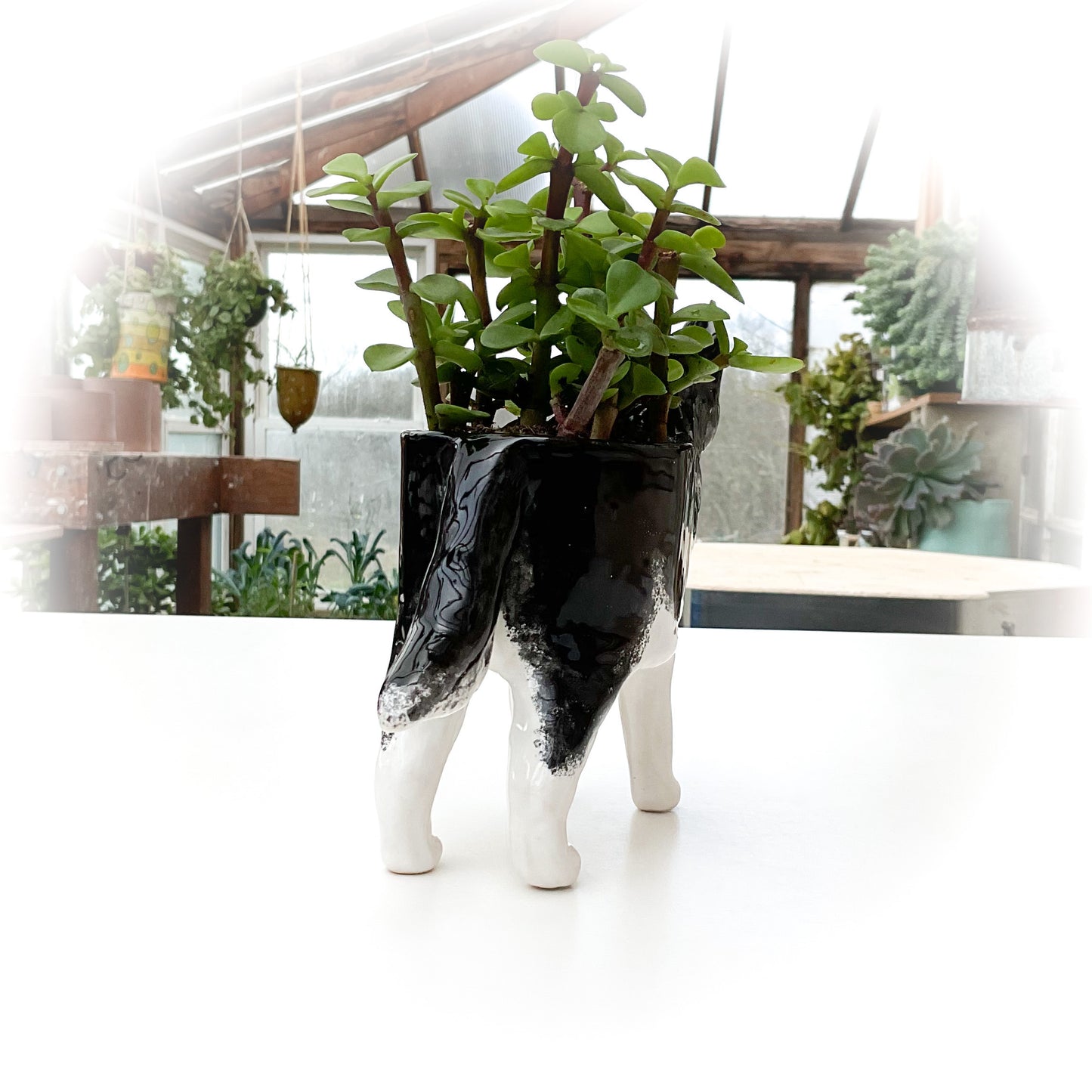 Husky Dog Planter - Ceramic Dog Plant Pot