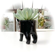 Load image into Gallery viewer, French Bulldog Dog Planter - Ceramic Dog Plant Pot
