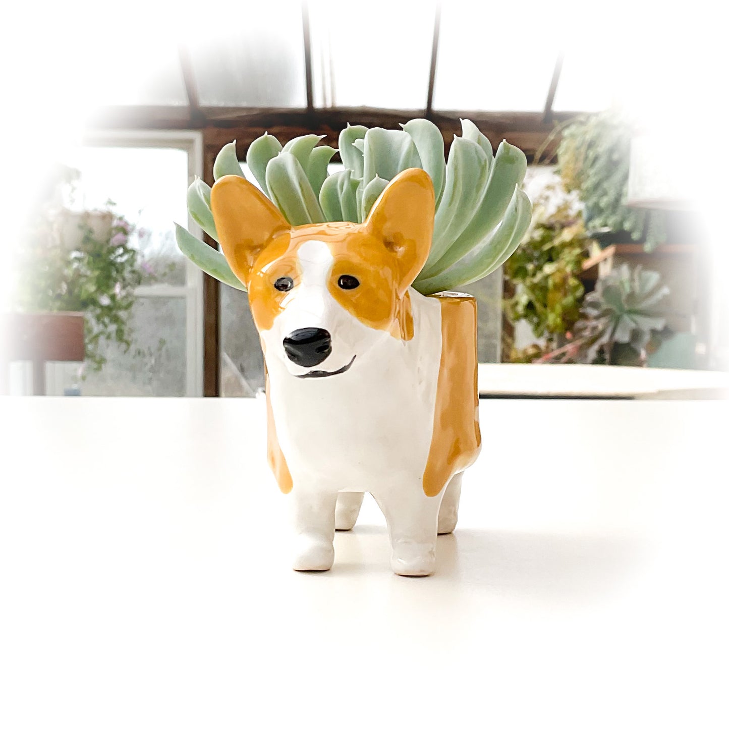 Corgi Dog Planter - Ceramic Dog Plant Pot