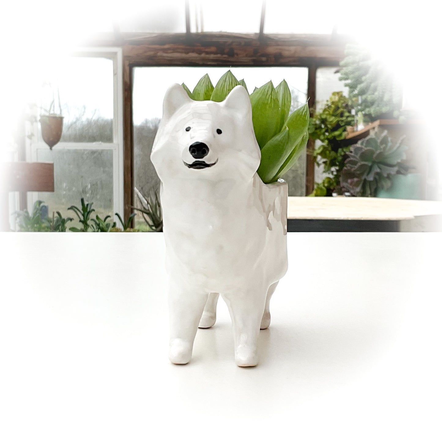 American Eskimo Planter - Ceramic Dog Plant Pot