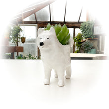 Load image into Gallery viewer, Samoyed Dog Planter - Ceramic Dog Plant Pot