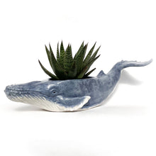 Load image into Gallery viewer, Humpback Whale Pot - Ceramic Whale Planter