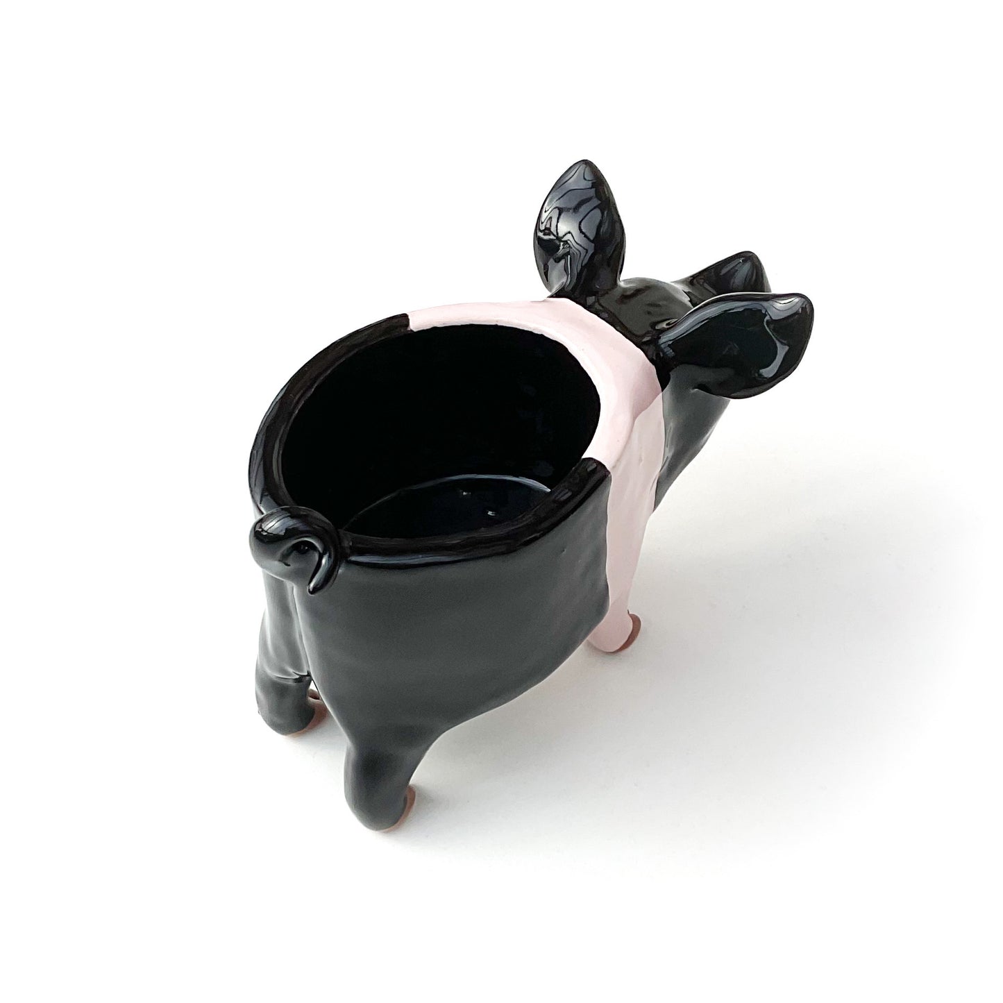 Hampshire Pig Pot No.2 - Ceramic Pig Planter