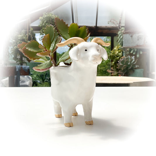 Angora Goat Pot - Ceramic Goat Planter