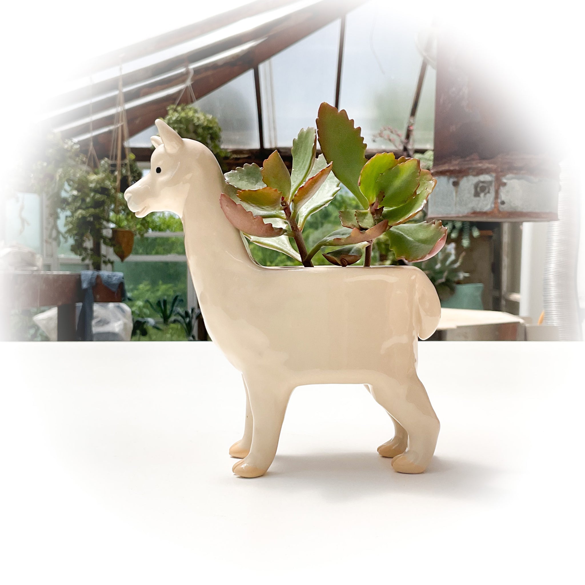 Beige Alpaca Pot - Ceramic Alpaca Planter – Haulin' Hoof Farm