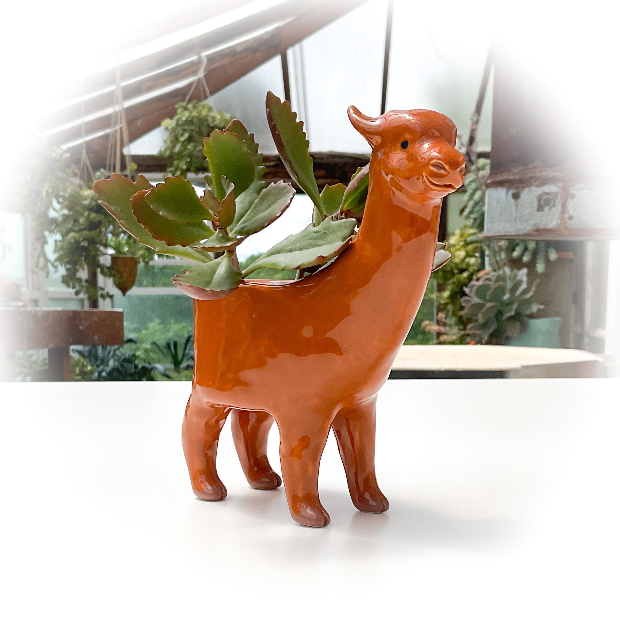 Fawn Alpaca Pot - Alpaca – Haulin' Hoof Farm Store